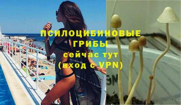 молекула духа Абинск