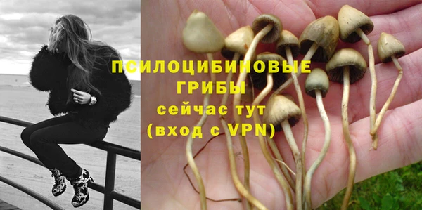 молекула духа Абинск