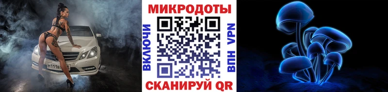 Псилоцибиновые грибы Psilocybe  Сальск 